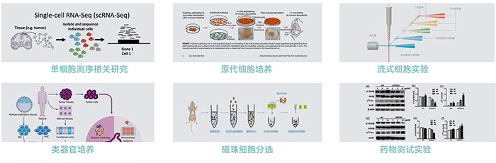 JX-CKSW系列產(chǎn)品應(yīng)用-700